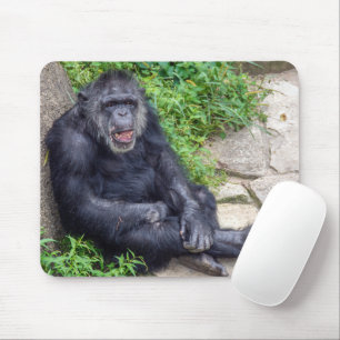 Mousepad Chimpanzee Debruçando-Se Sobre Rock