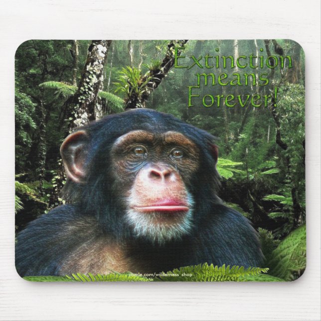 Mousepad Chimpanzee & RainForest Selvagens Suporte a Mousep (Frente)
