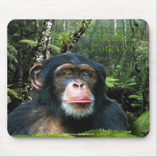 Mousepad Chimpanzee & RainForest Selvagens Suporte a Mousep