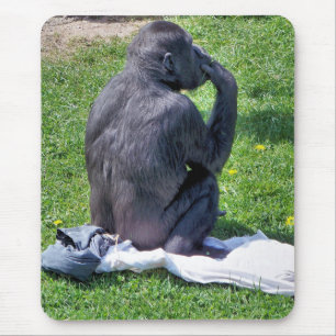 MOUSEPAD CHIMPANZÉS