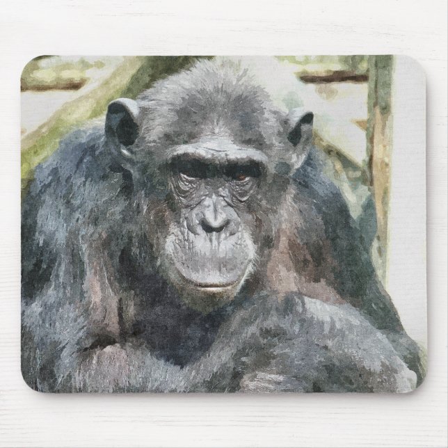 MOUSEPAD CHIMPANZÉS (Frente)