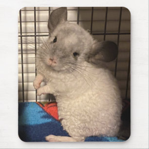 Mousepad chinchila