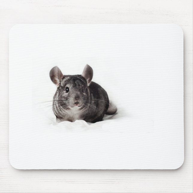 Mousepad Chinchila cinzenta bonito na cobertura (Frente)