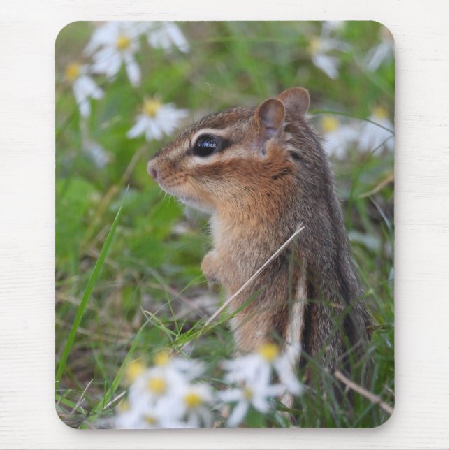 Mousepad Chipmunk Adorável das flores (Frente)