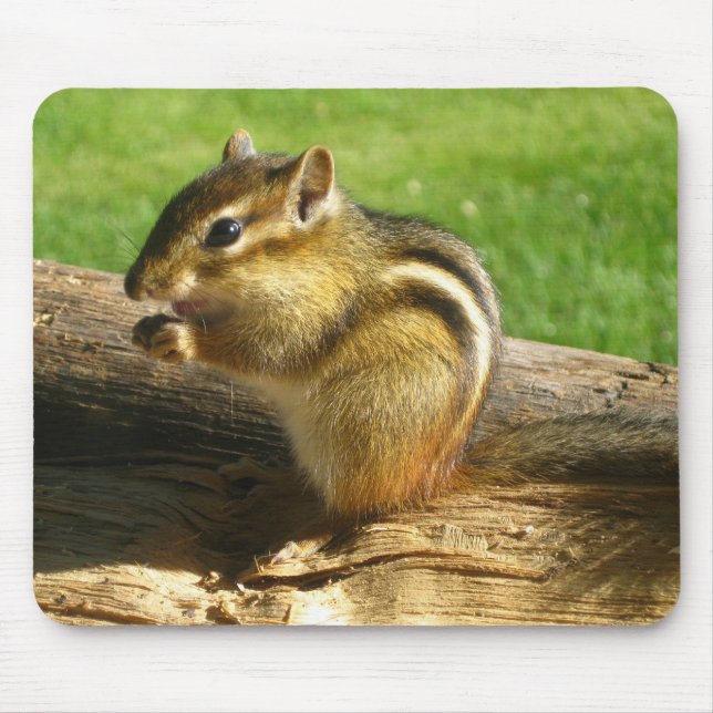 Mousepad Chipmunk bonito (Frente)