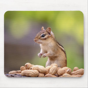 Mousepad Chipmunk com amendoins