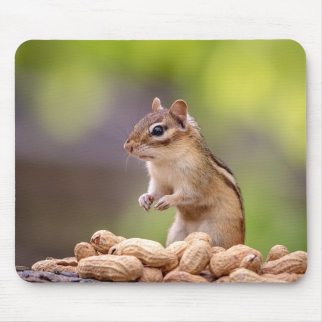 Mousepad Chipmunk com amendoins (Frente)