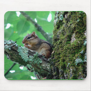 Mousepad Chipmunk doce em um Roupa de árvore e presentes