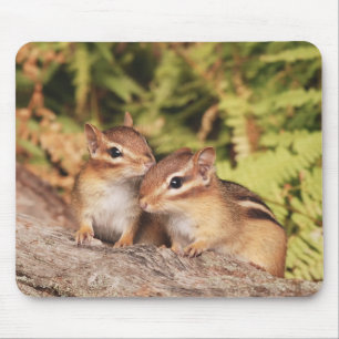 Mousepad Chipmunks do bebê dos melhores amigos