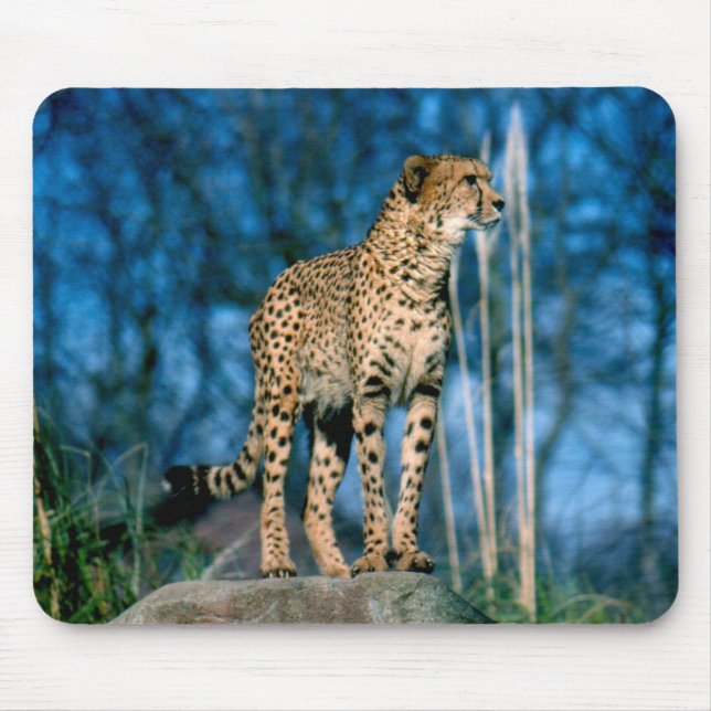Mousepad Chita (Frente)