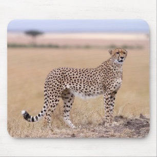 Mousepad Chita