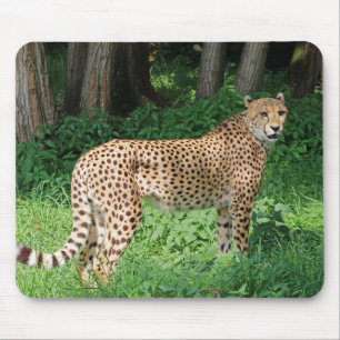 Mousepad Chita
