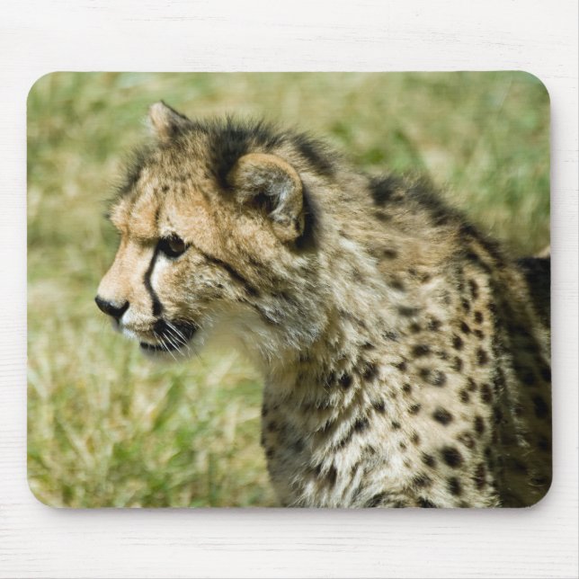 Mousepad Chita (Frente)