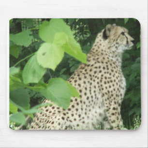 Mousepad Chita bonita