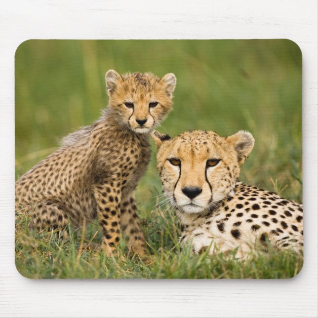 Mousepad Chita Cub e Pai na Grama (Frente)