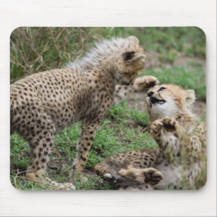Mousepad Chita Cubs que joga o tapete do rato