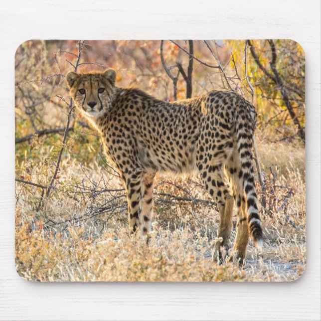 Mousepad Chita Olhando em Volta (Frente)
