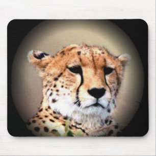 Mousepad Chita Retrato de Lua Cheia: Graça da Natureza