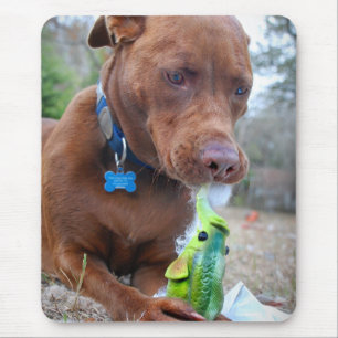 Mousepad Chocolate Lab Mistura Cachorro e Brinquedo
