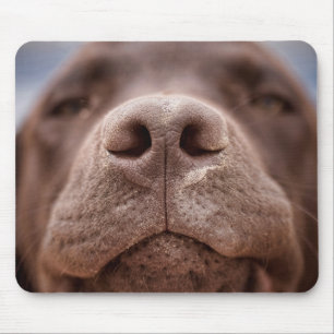 Mousepad Chocolate Labrador Nose Closeup