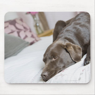 Mousepad Chocolate Labrador que dorme na cama
