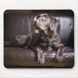 Mousepad Chocolate labrador retriever