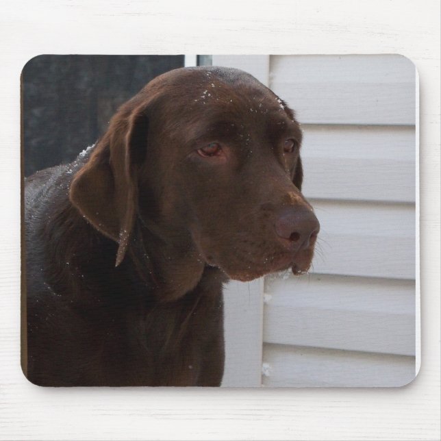 Mousepad Chocolate labrador retriever (Frente)