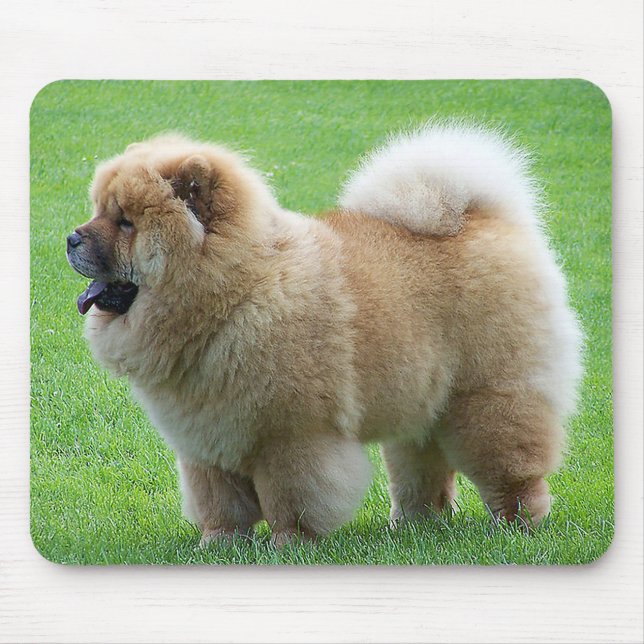 Mousepad Chow Chow Cão Cão Cachorro Verde Mocinho (Frente)