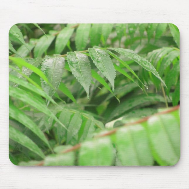 Mousepad Chuva Cai Nas Folhas De Sumac (Frente)