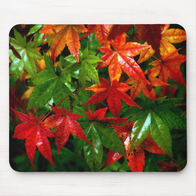 Mousepad Chuva do outono (Frente)