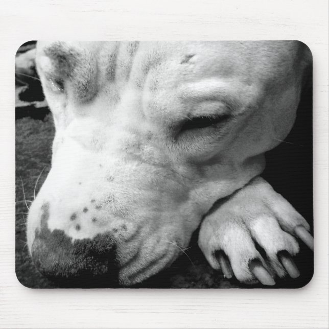 Mousepad cicatriz do harry potter cachorro pit bull branco (Frente)