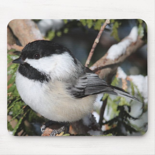 Mousepad Cickadee Preto-tampado (Frente)