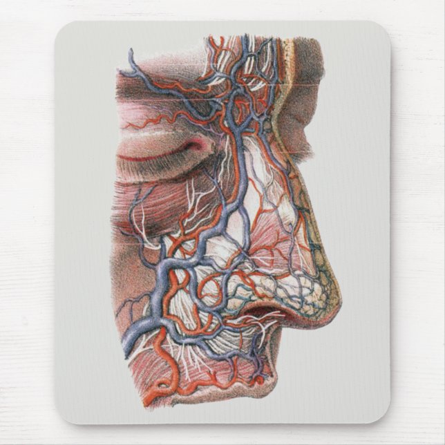 Mousepad Ciência Antiga Anatomia Humana, Rosto com Nariz (Frente)