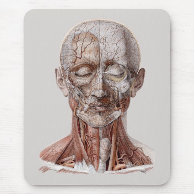 Mousepad Ciência humana da anatomia do vintage, nariz (Frente)