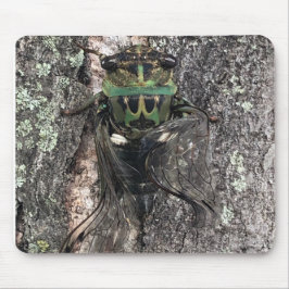 Mousepad Cigarra