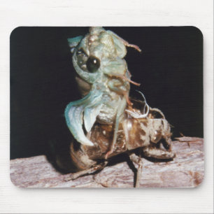 Mousepad Cigarra Emergindo da Casca