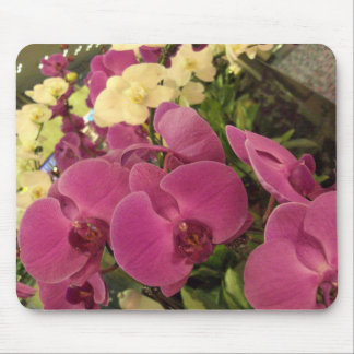 MOUSEPAD CIMG0482