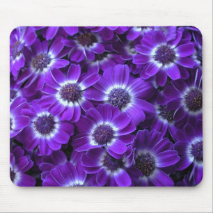Mousepad Cineraria Roxa