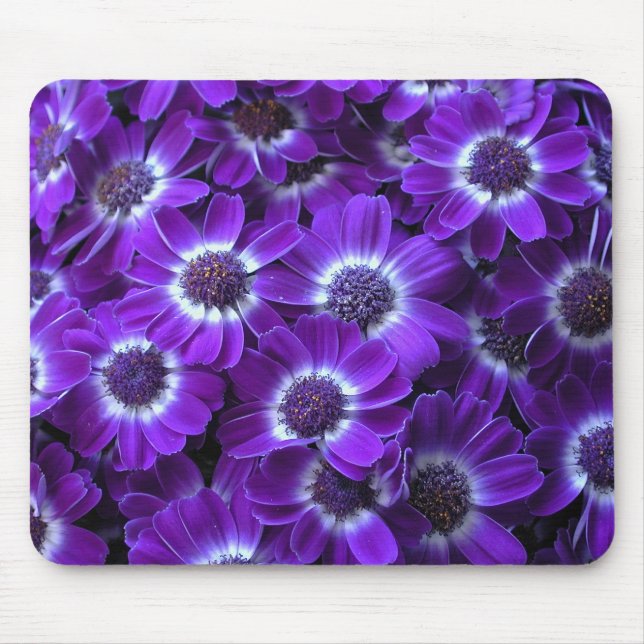 Mousepad Cineraria Roxa (Frente)