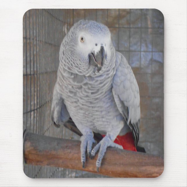 Mousepad Cinza africano "Rudy " (Frente)