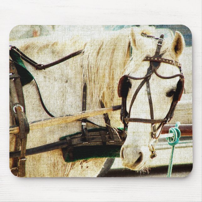 Mousepad Cinza Amish Buggy Horse (Frente)