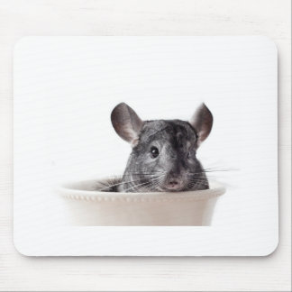 Mousepad Cinza bonito da chinchila do Teacup