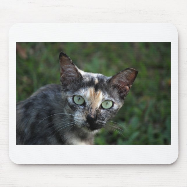 Mousepad Cinza de Gato Branco Castanho com Olhos Verdes (Frente)