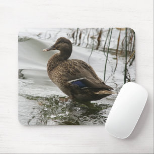 Mousepad Cinza se abaixa no lago escuro