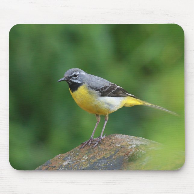 Mousepad Cinza Wagtail - pássaro (Frente)