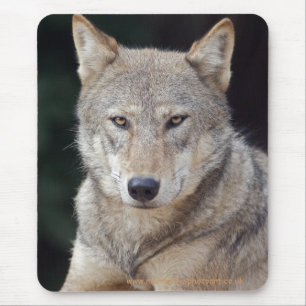Mousepad Cinza Wolf Mousemat