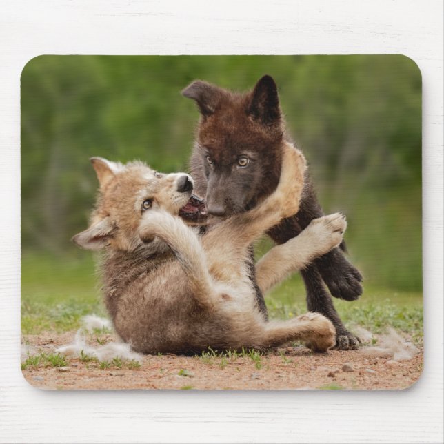 Mousepad Cinza Wolf Pups em luta (Frente)