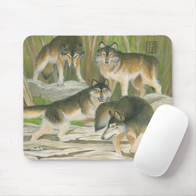 Mousepad Cinzas (Com mouse)