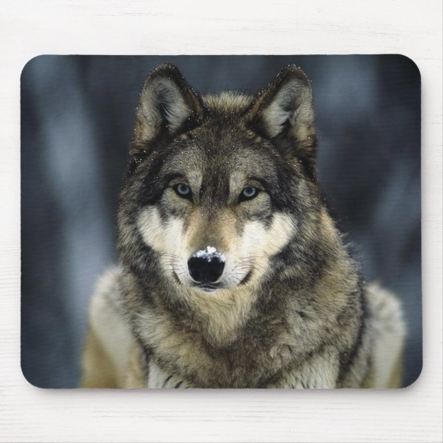 Mousepad cinzento-lobo-neve (Frente)