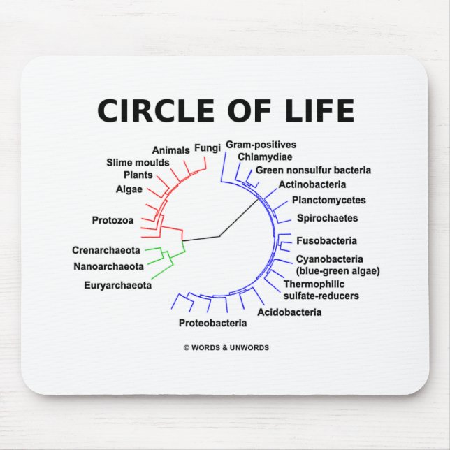 Mousepad Círculo da vida (árvore filogenética circular) (Frente)